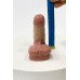 Packer XMall (2em1) Pintura Artesanal - 8cm